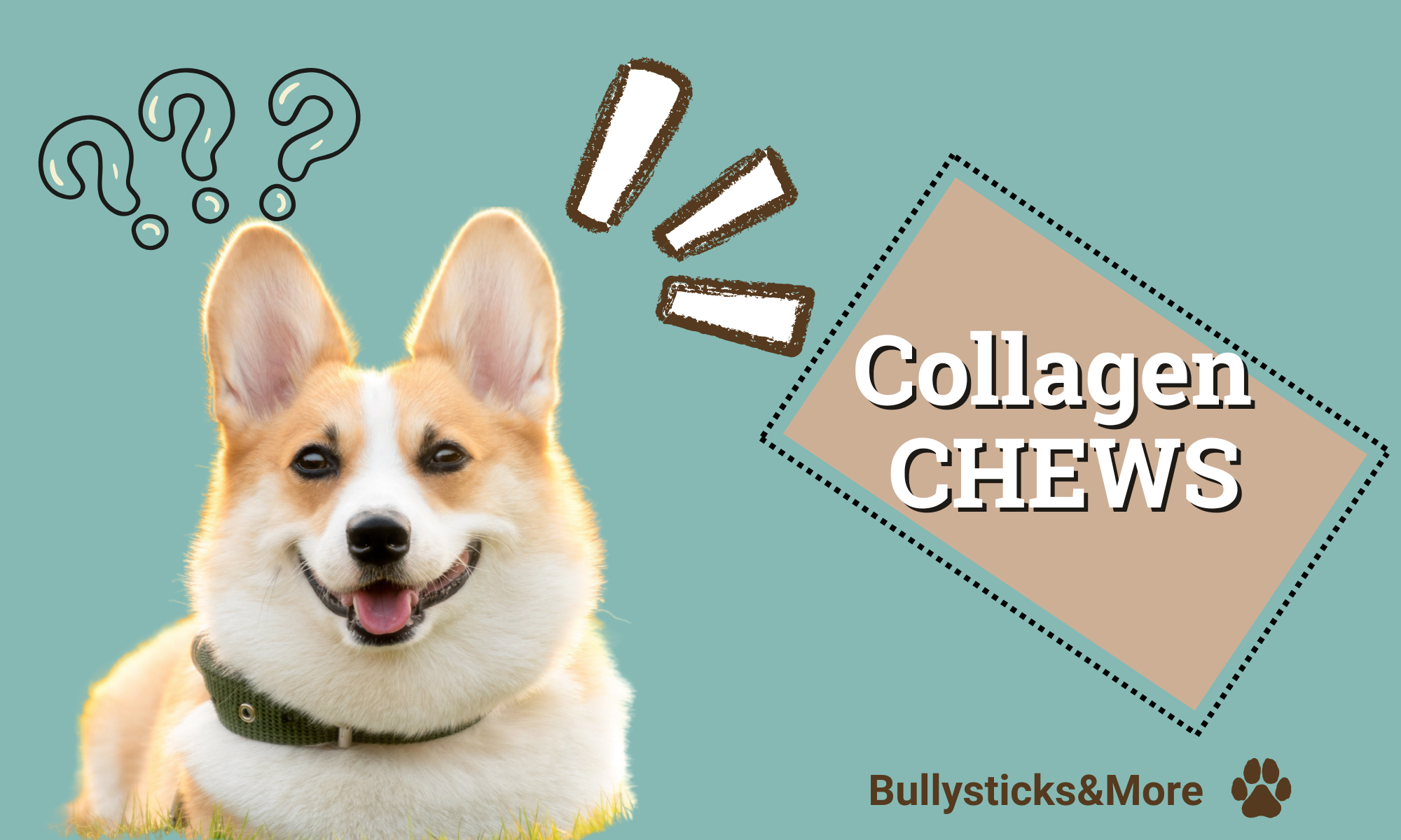 Collagen Chews for Dogs: The Natural Way to Support Joints, Skin & More