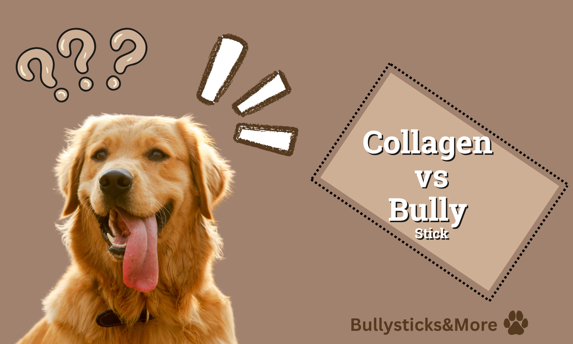 Collagen vs. Bully Sticks: Which Chew Is Best for Your Dog?