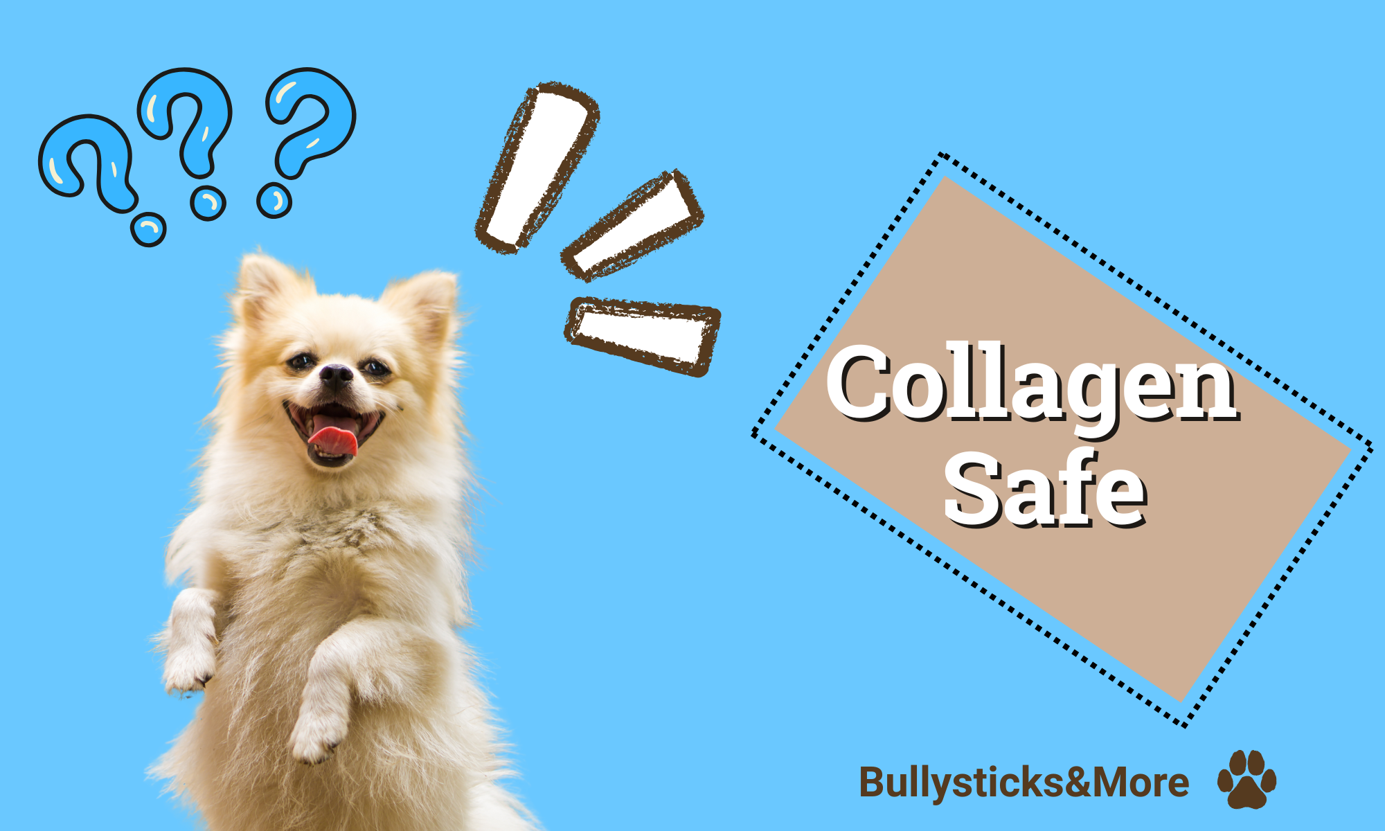 Are Collagen Chews Safe for Dogs? Here’s What You Need to Know