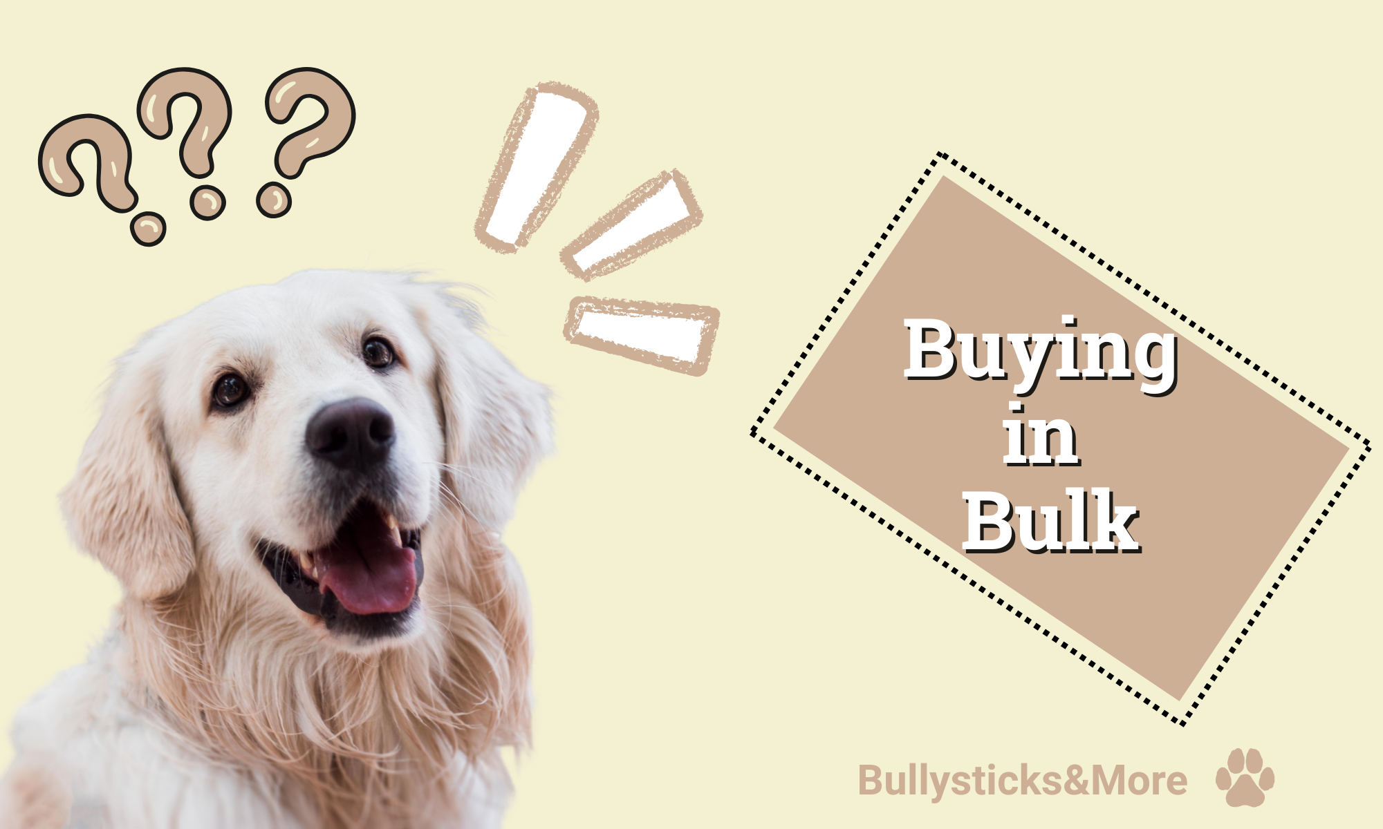 Buying Pet Treats in Bulk: Save More and Stay Stocked