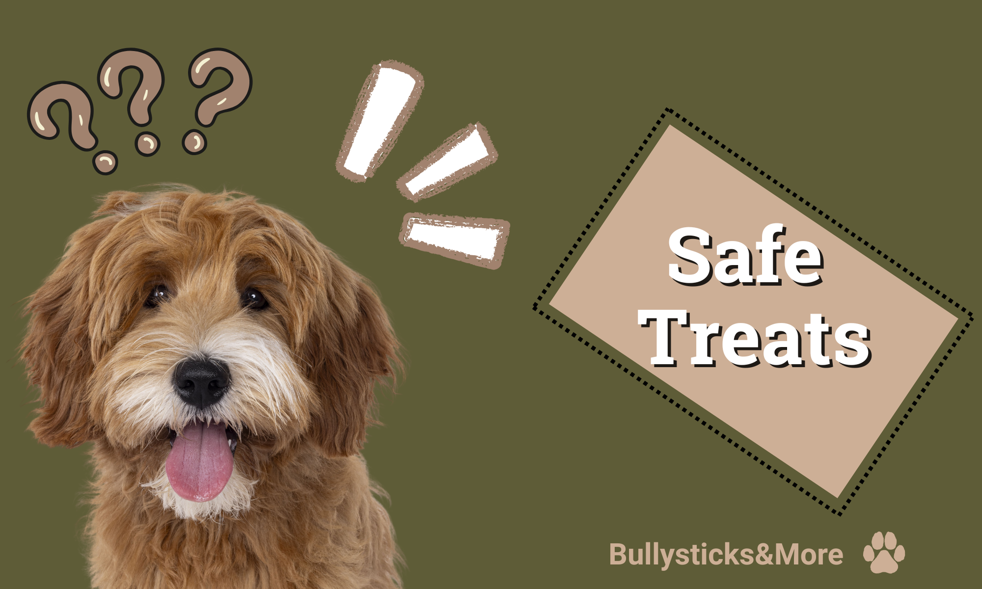 Safe Treats for Dogs: What Every Pet Owner Should Know