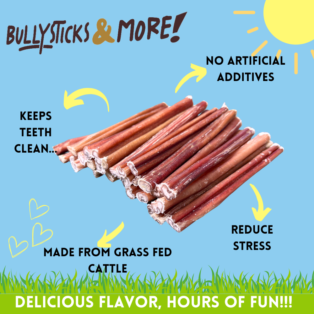 Bullysticks and More! - 6 Inch Thin Bully Sticks 100 Count