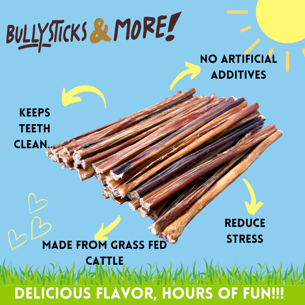 Bullysticks and More! - 12 Inch Thin Bully Sticks 50 Count