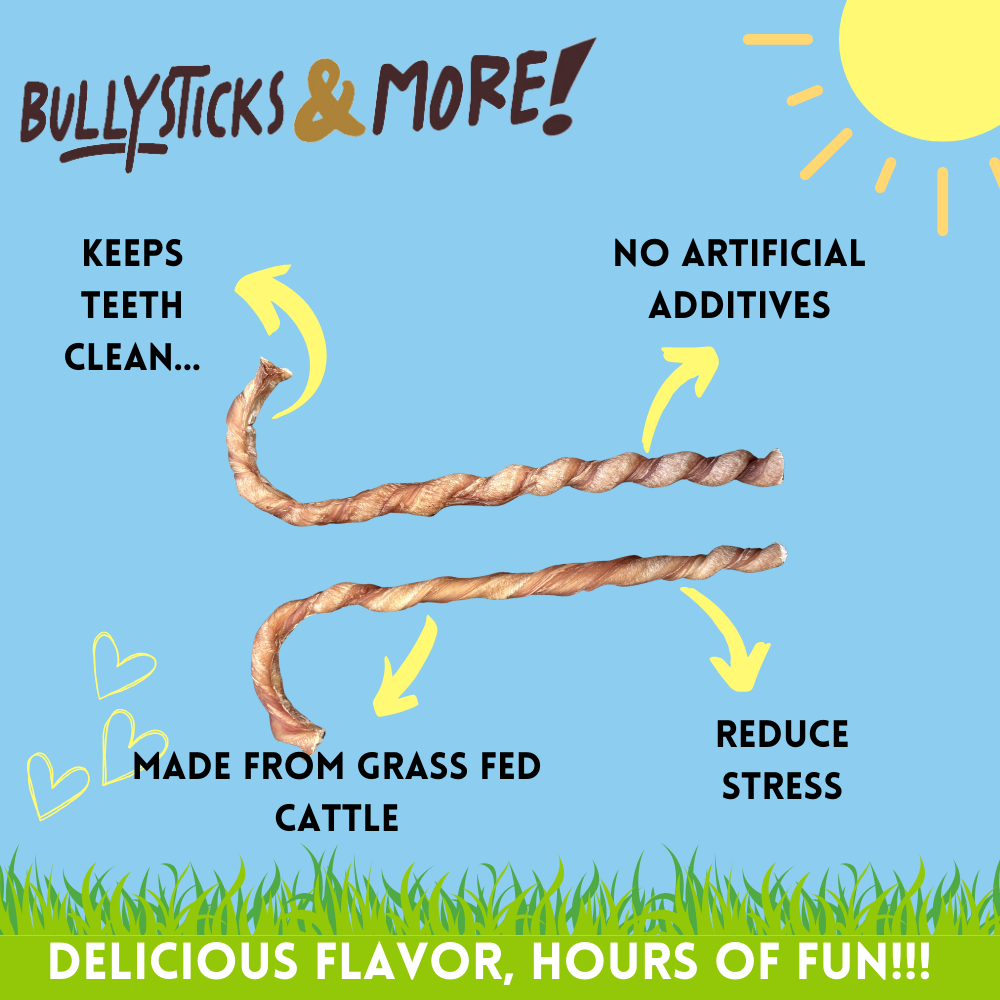 Bullysticks and More! - 10-12 Inch Candy Cane Bully Sticks - 12 Count