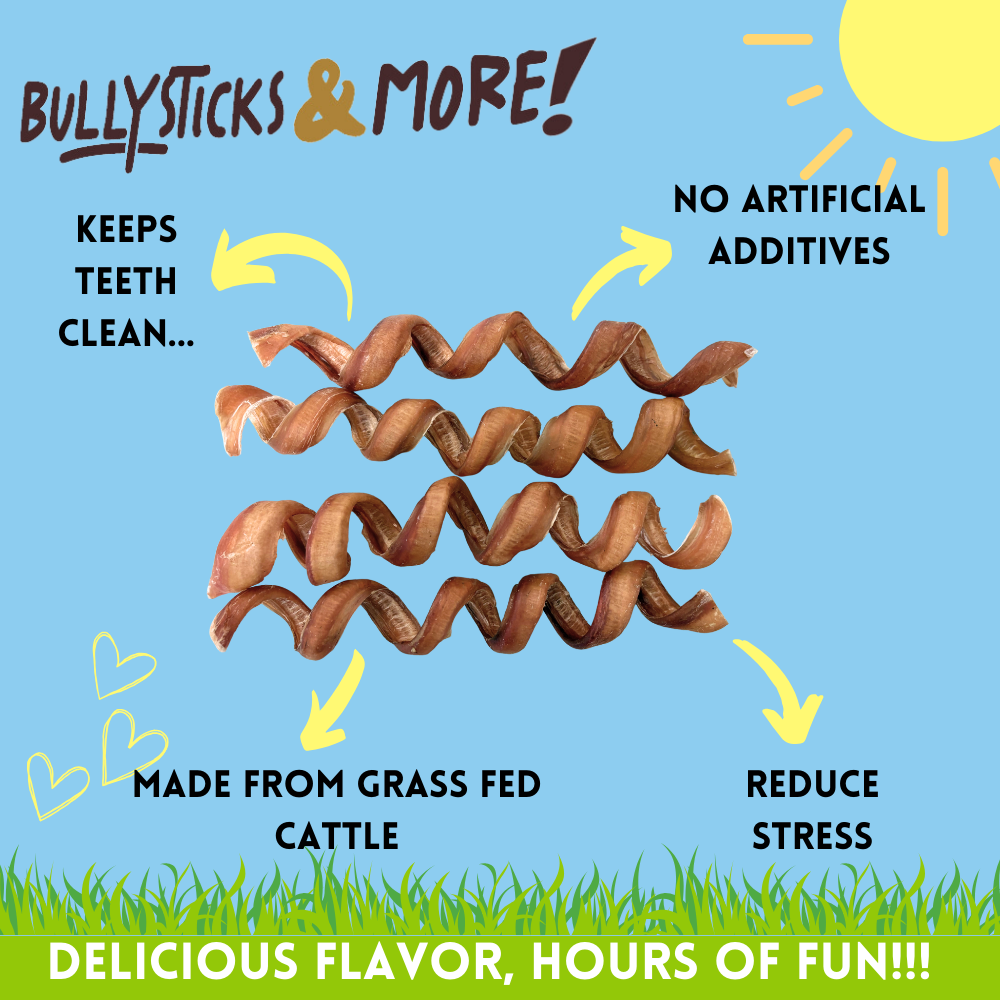 Bullysticks and More! - 6-8 Inch Bully Sticks Springs 14 Count