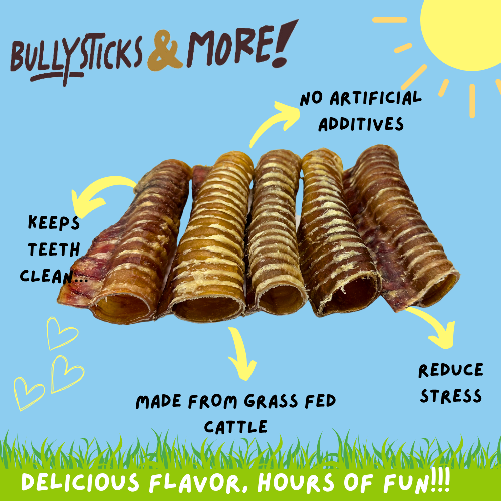 Bullysticks and More! 6 Inch Beef Trachea 250 Count