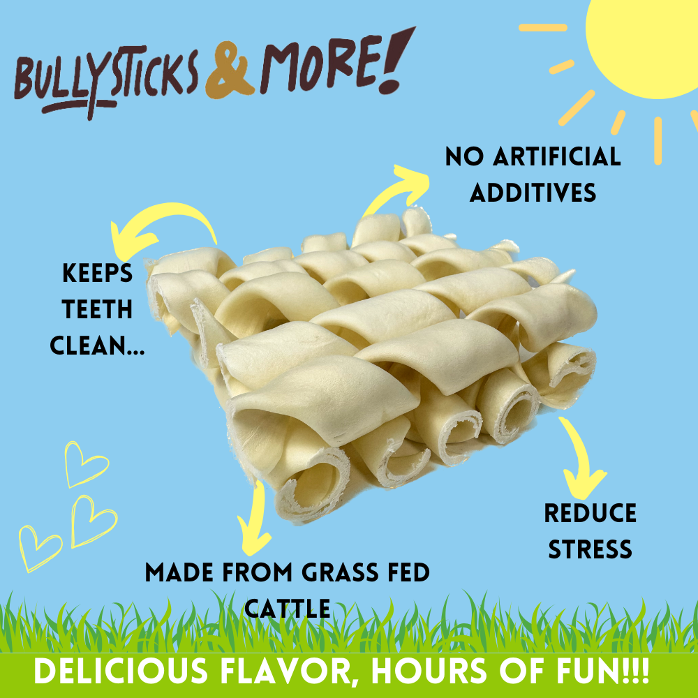 Bullysticks and More! - 6 Inch Beef Cheek Springs 100 Count