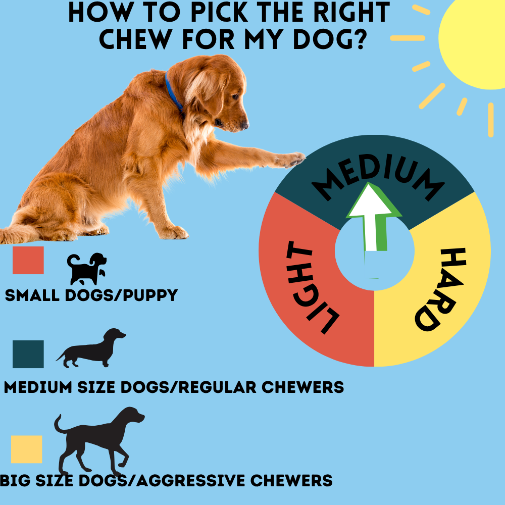 Bullysticks and More! - 10-12 Inch Beef Cheek Springs for Dogs 50 Count