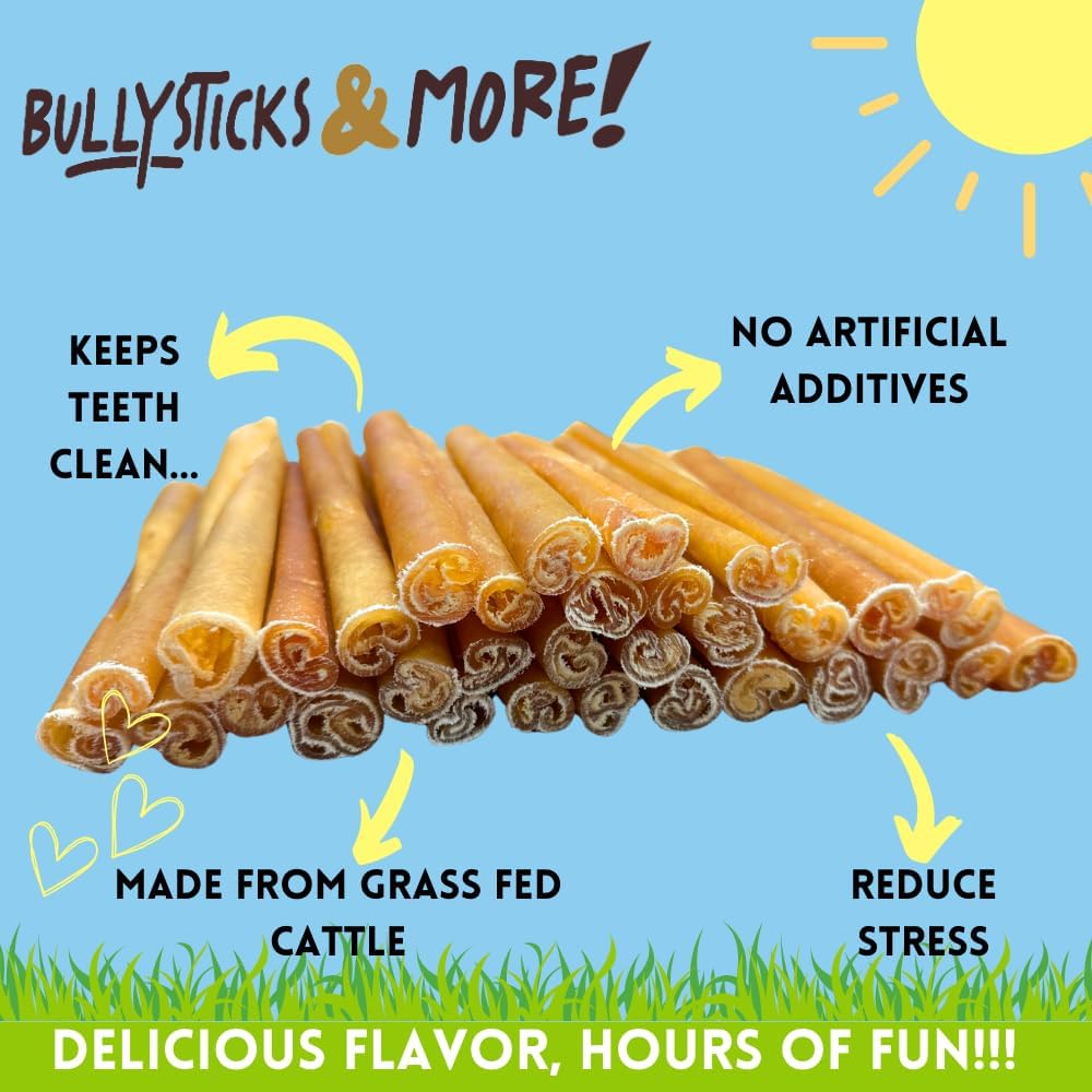 Bullysticks and More! - 6 Inch Regular Beef Collagen Sticks 100 Count