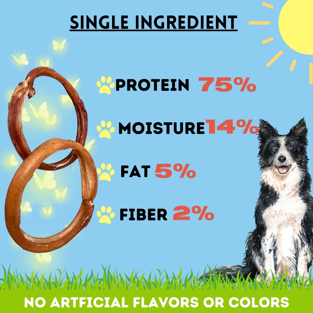 Bullysticks and More! - 3-4 Inch Bully Stick Rings 14 Count