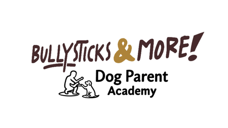 Bullysticks and More!