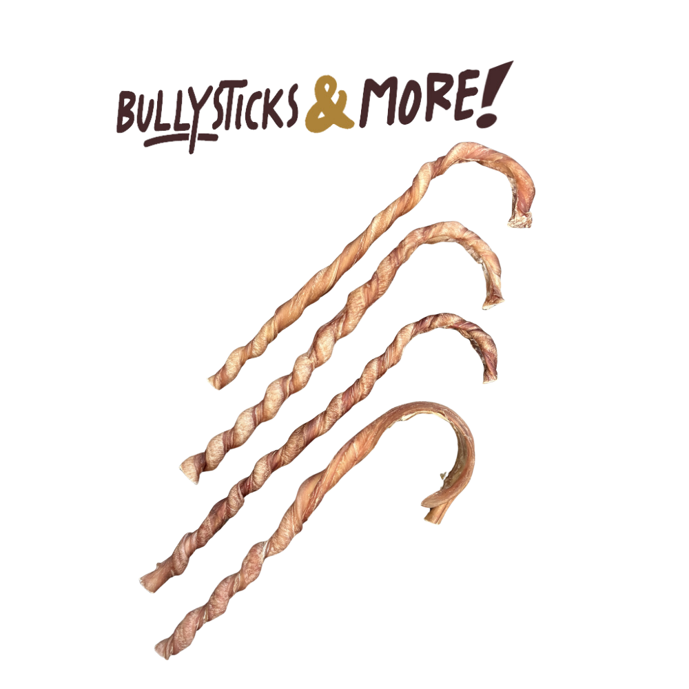 Bullysticks and More! - 10-12 Inch Candy Cane Bully Sticks - 12 Count