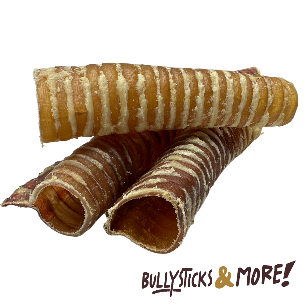 Bullysticks and More! 6 Inch Beef Trachea 40 Count