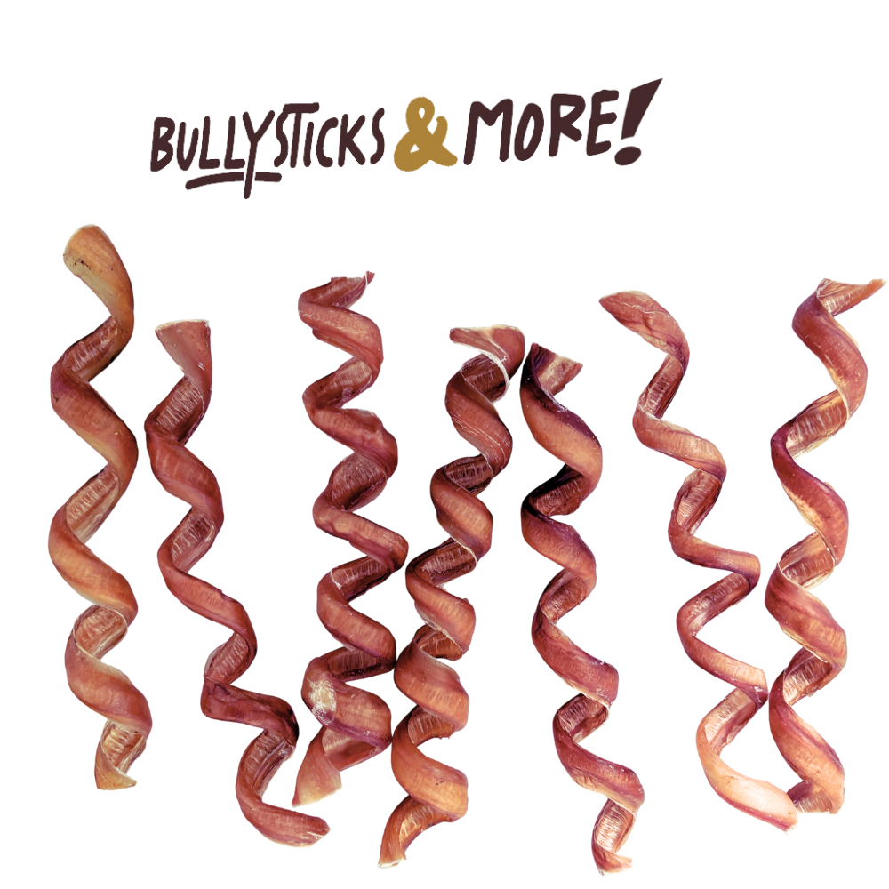 Bullysticks and More! - 6-8 Inch Bully Sticks Springs 14 Count
