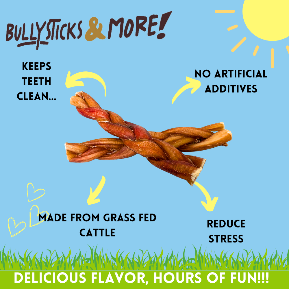 Bullysticks and More! -6 Inch Braided Bully Sticks - 8 Count