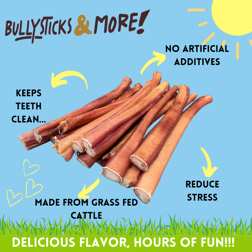 Bullysticks and More! - 12 Inch Jumbo Bully Sticks 6 Count