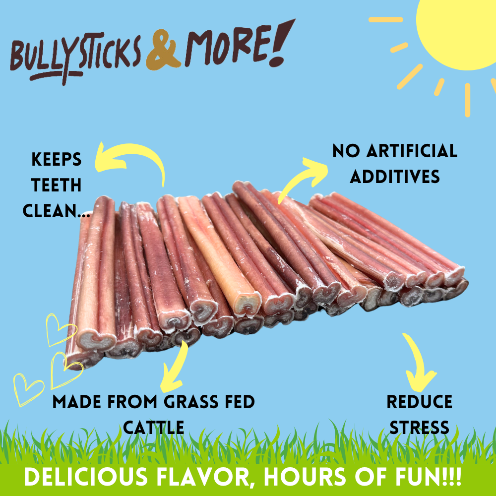 Bullysticks and More! - 6 Inch Medium Bully Sticks 500 Count