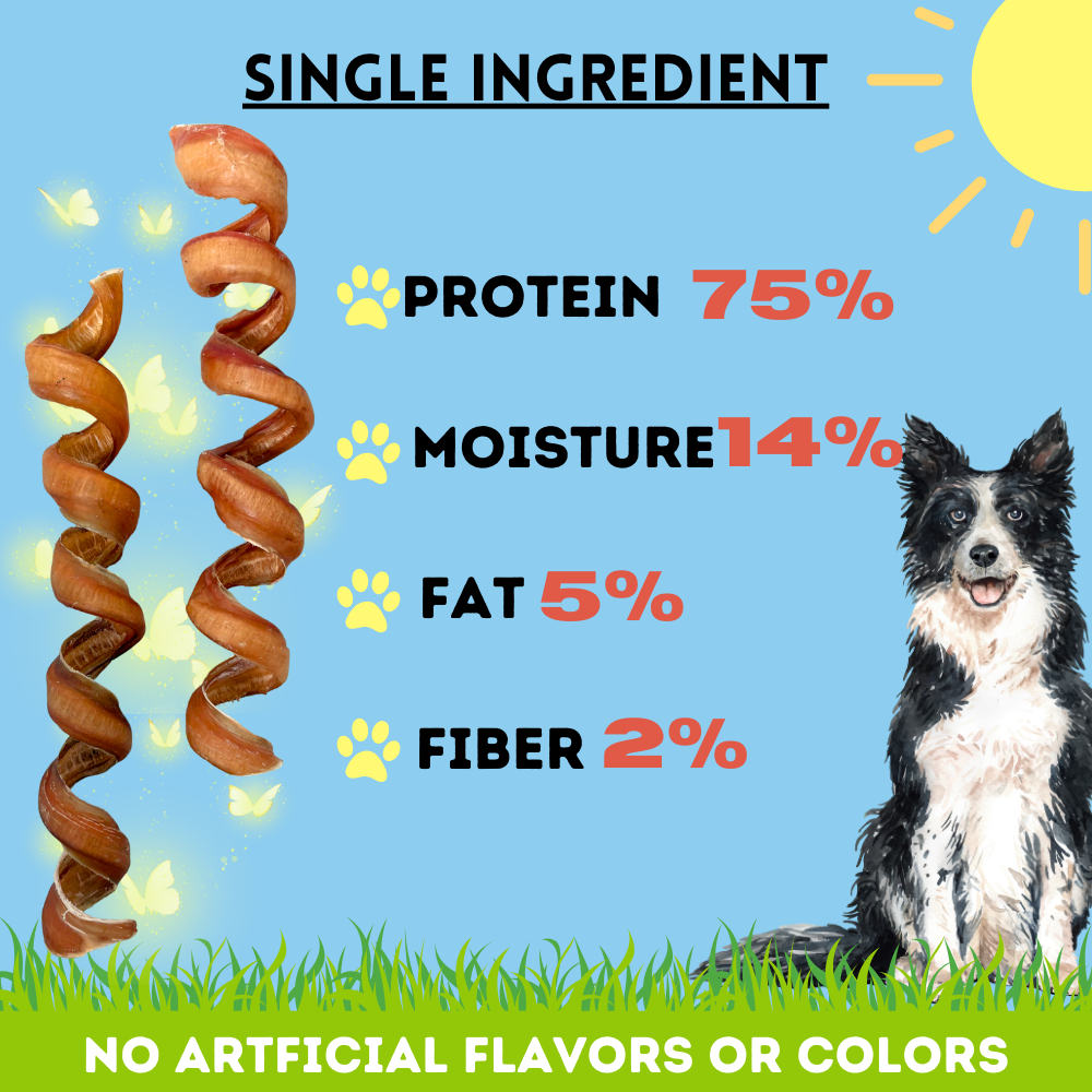 Bullysticks and More! - 6-8 Inch Bully Sticks Springs 14 Count