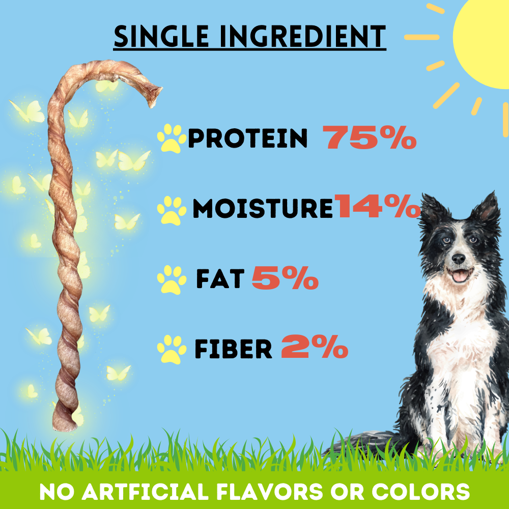 Bullysticks and More! - 10-12 Inch Candy Cane Bully Sticks - 12 Count