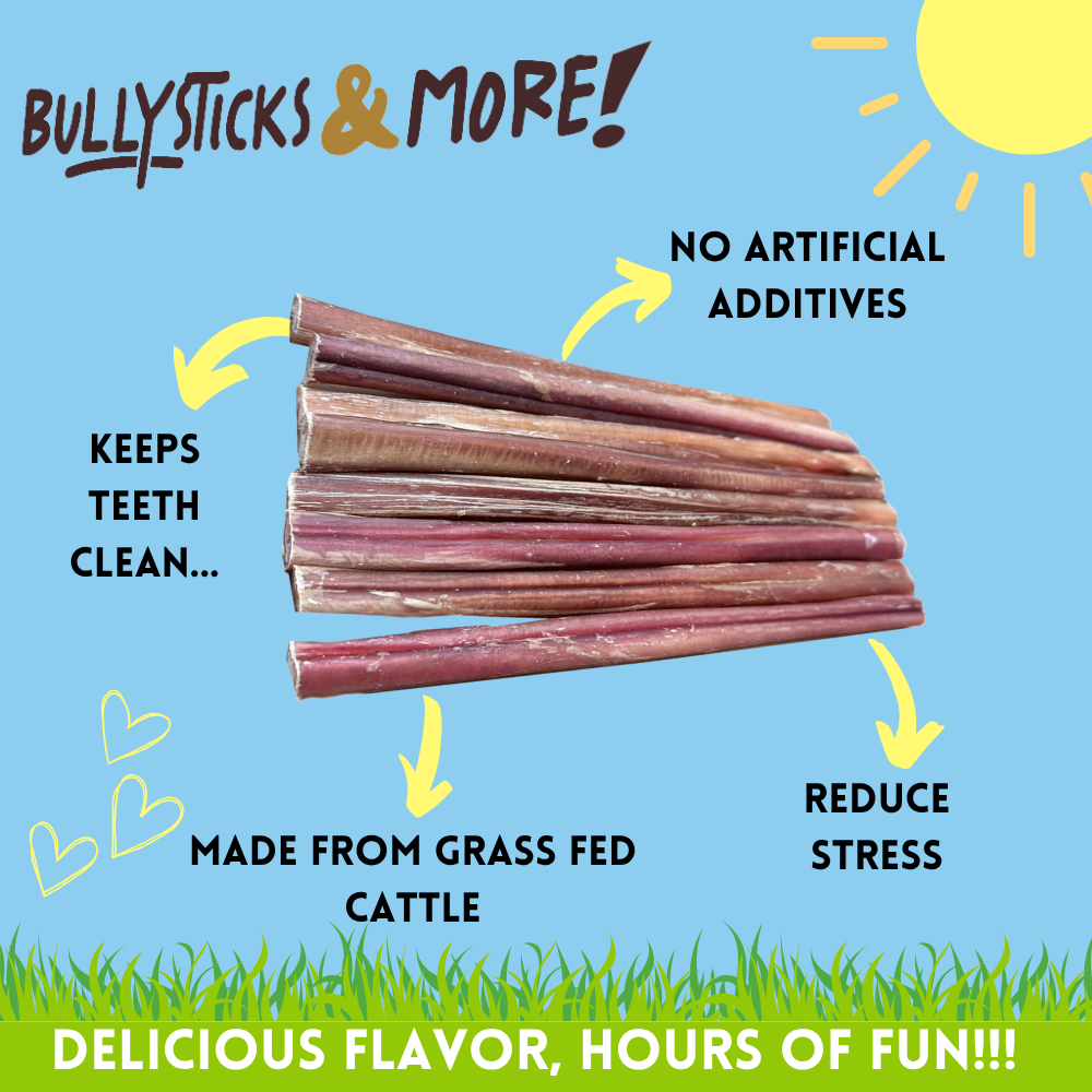 Bullysticks and More! - 12 Inch Medium Bully Sticks - 10 Count