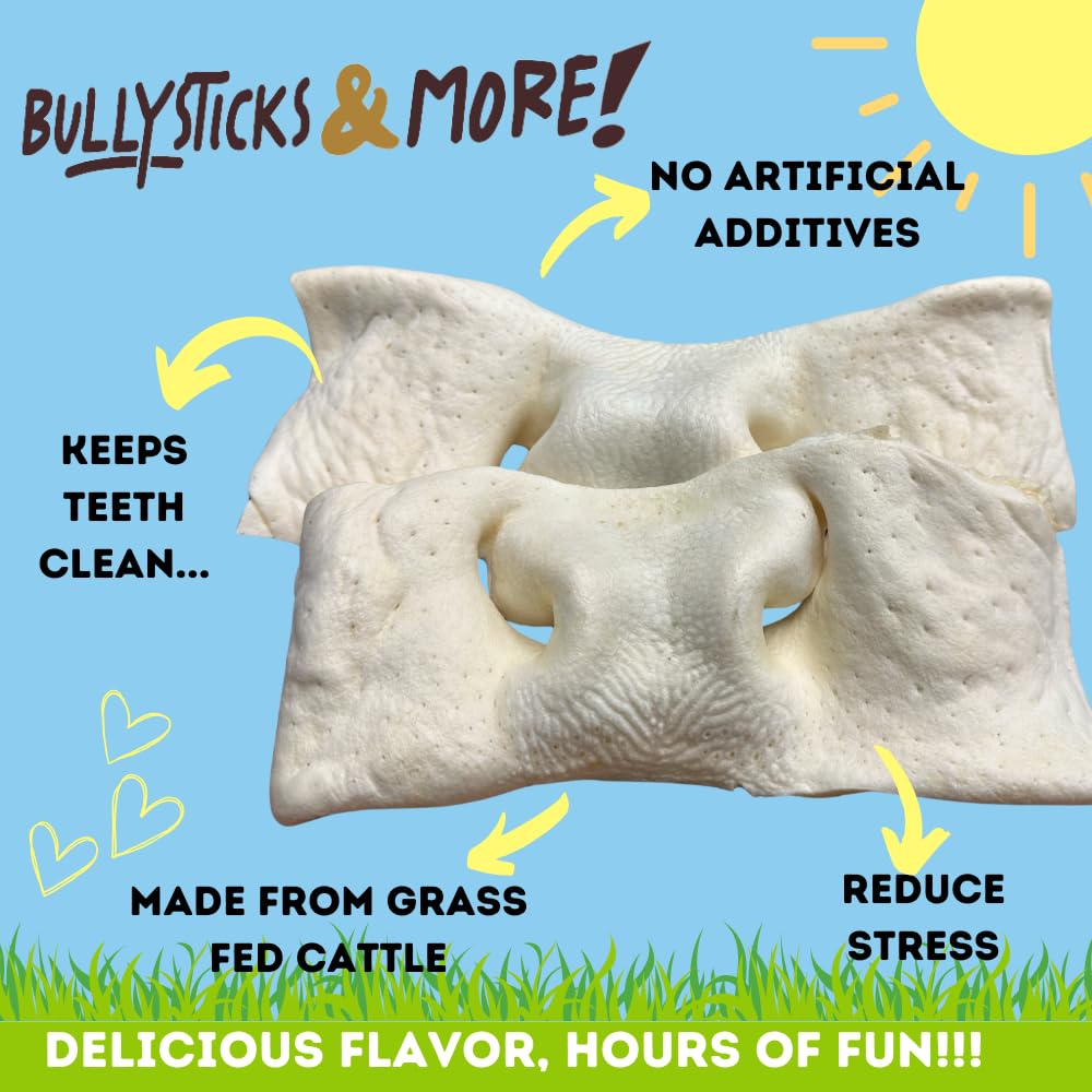 Bullysticks and More! - 8-10 Inch Beef Cheek Snouts Dogs 75 Count